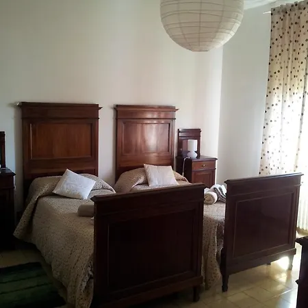 L'alloro Assisi