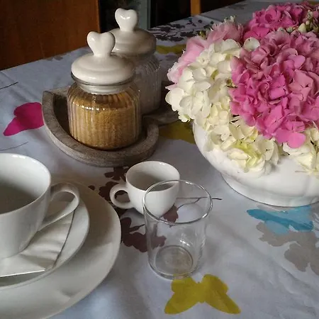 Bed & Breakfast L'alloro